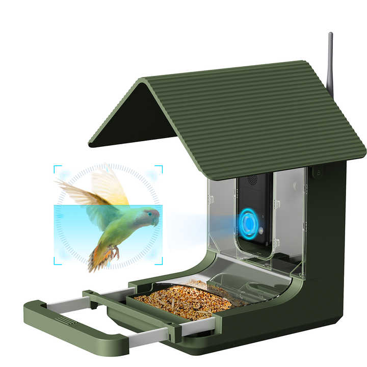 bird camera